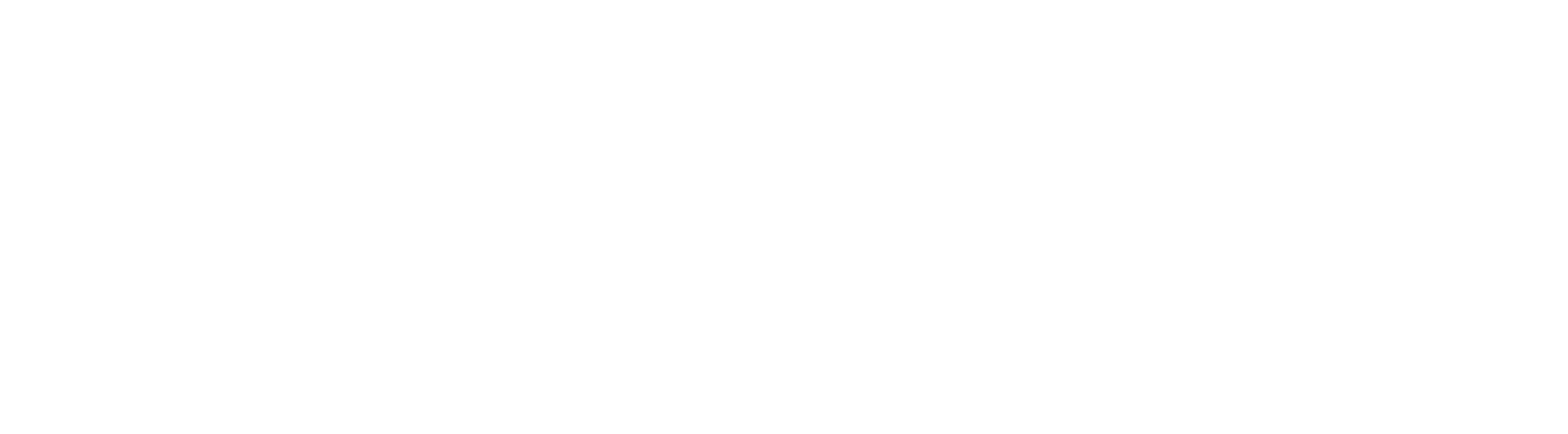 UNIZZATO